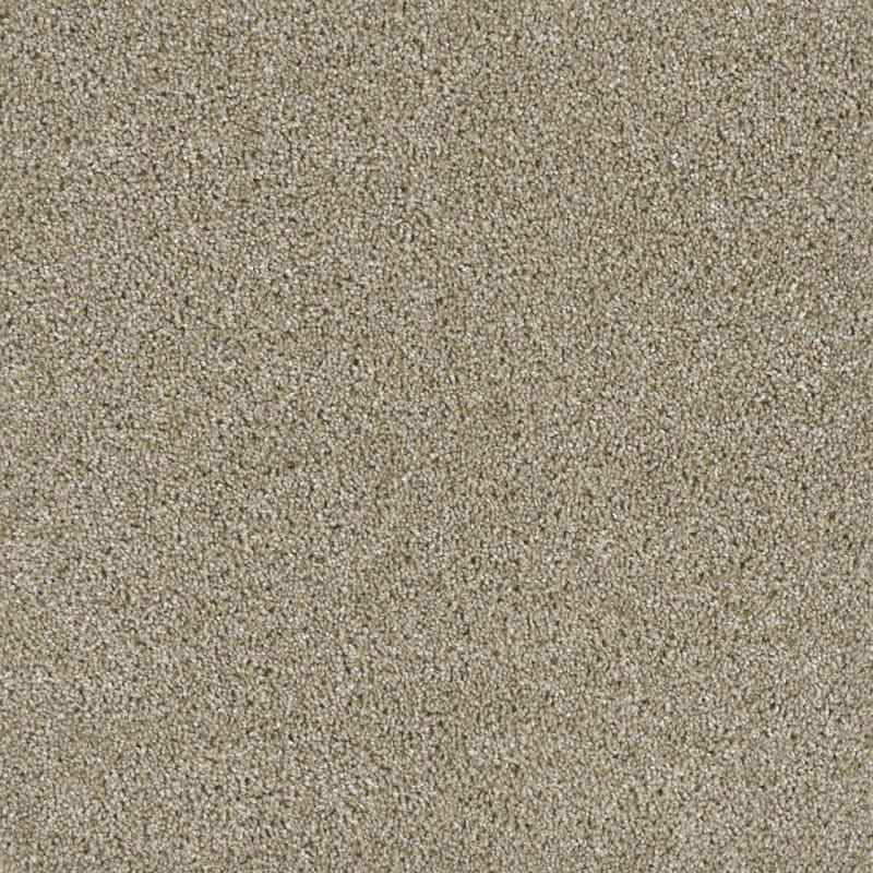 Acclaim — Outback swatch