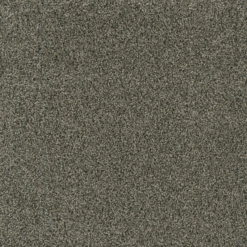 Acclaim — Midnight Shadow swatch