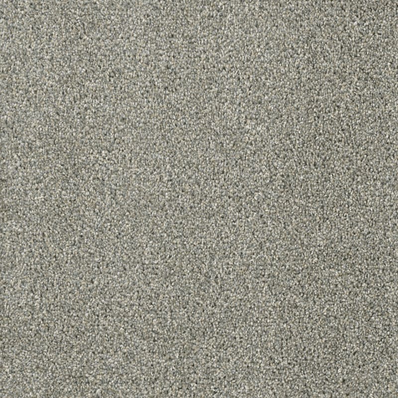 DreamWeaver Acclaim — Sandy Trail carpet swatch
