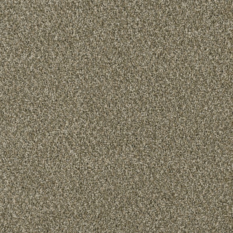 DreamWeaver Acclaim — Sienna Sand carpet swatch