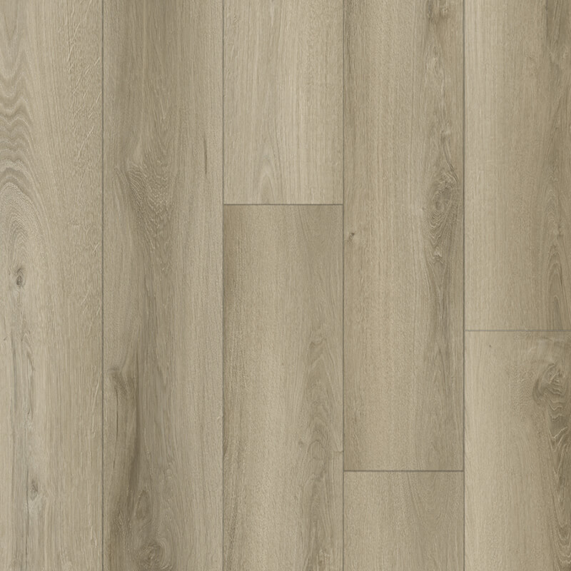 Aspen New — Sliver Moon swatch