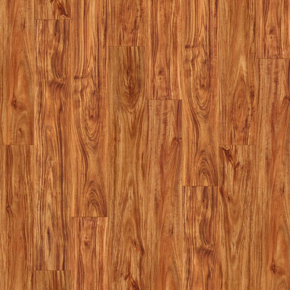 Mountain Premium — Amber Acacia swatch